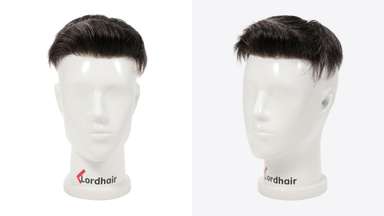 LD0046 | Pre-Cut Hairpiece with Short-Haired Quiff Hairdo-image-1