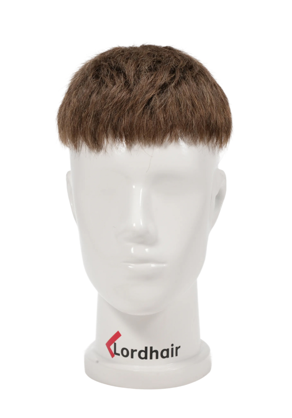 Hair length for each area