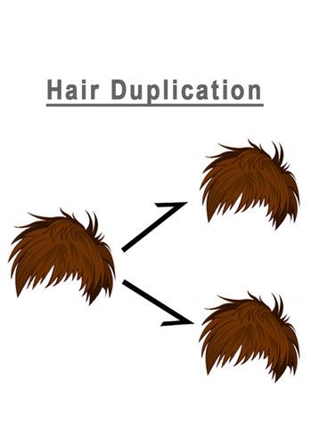 hair duplication