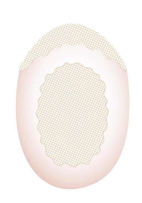 jq757 hair toupee