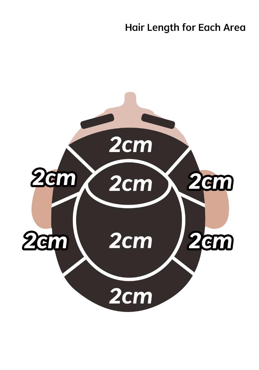 hair length for each area