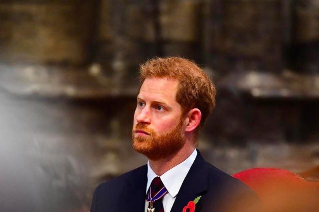 Prince harry hair