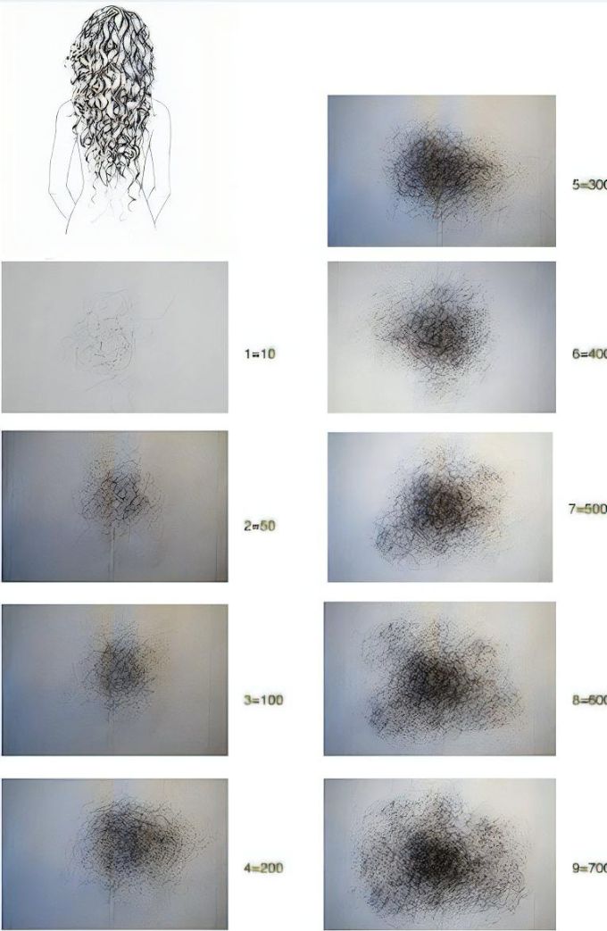 hair shedding visual scale