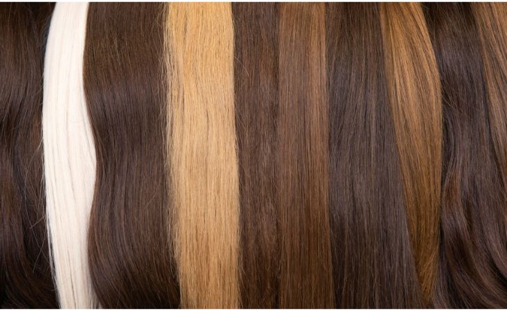 top human hair brands