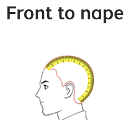 front to nape