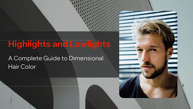highlights and lowlights