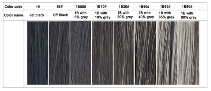 lordhair gray hair colors