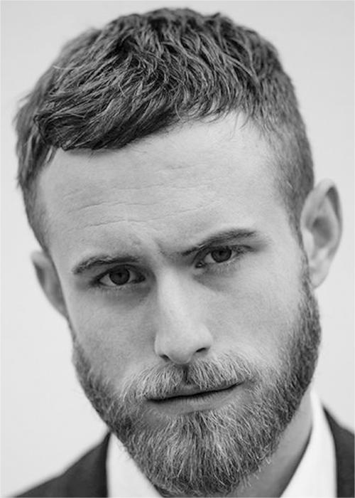 Short Cut with Beard Haircut