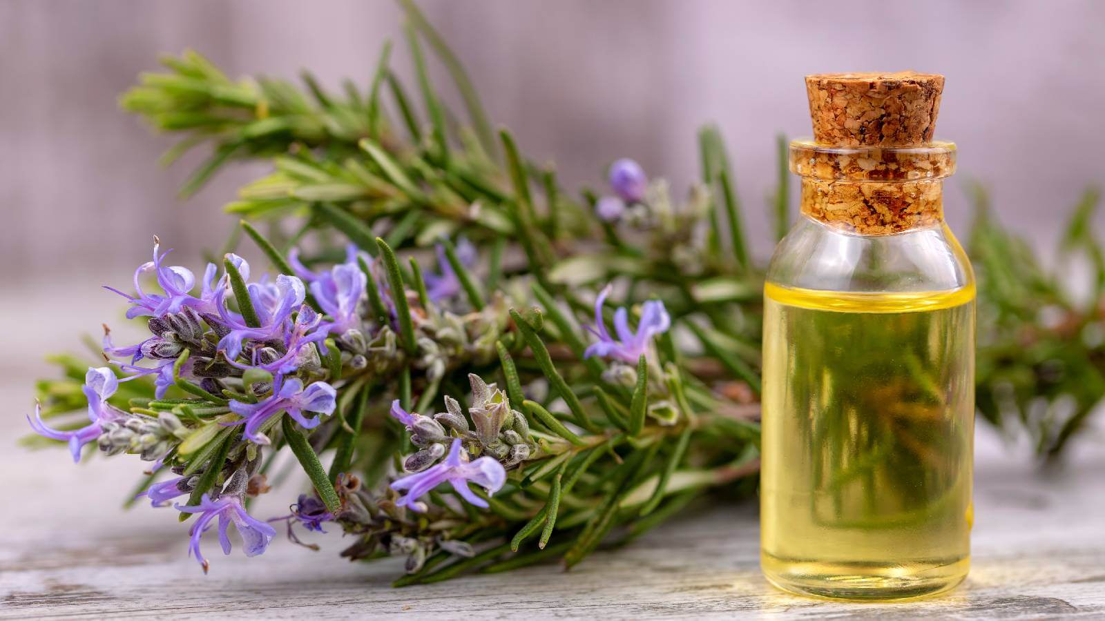 Sprigs of rosemary next to a bottle of rosemary oil