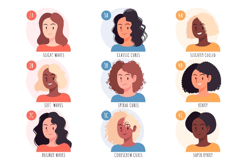 Illustrations of the different types of women's hair