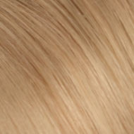 colorSelection