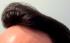 Great hairpiece