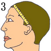 ear to ear across forehead