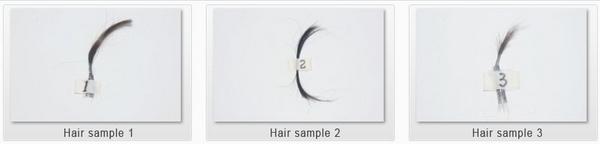 Take a Hair System Hair Sample