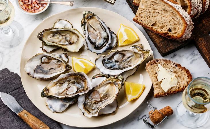 Oysters