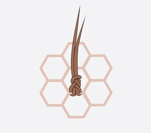 Double Knot
