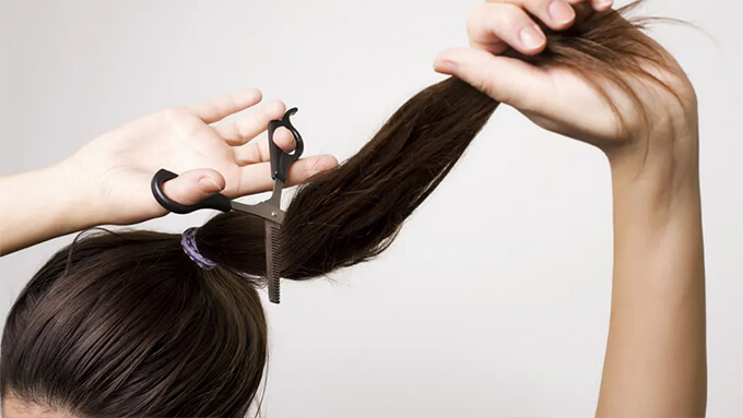 Hair System from Donor to Head