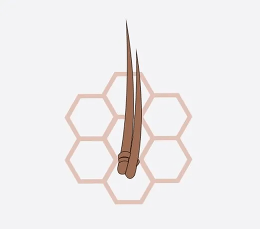 Single Split Knot