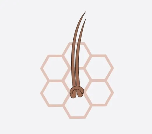 single knot