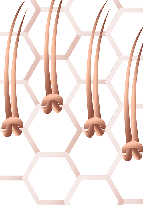 lordhair-single-knots
