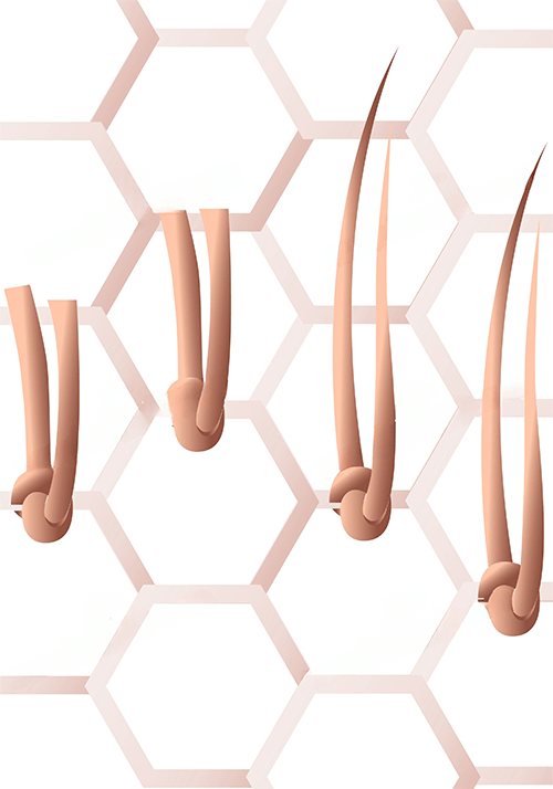 lordhair-single-split-knots