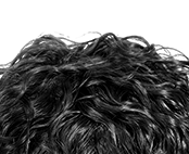 Lordhair