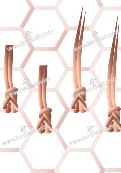 single split knot single split knot
