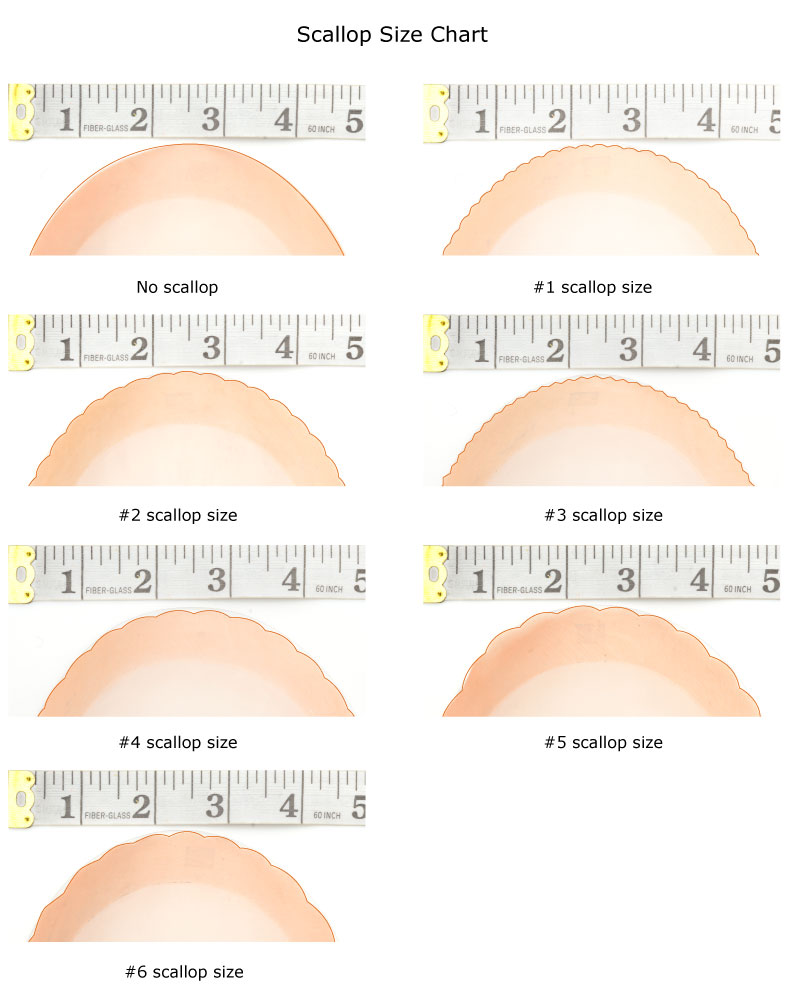 Sea Scallop Size Chart