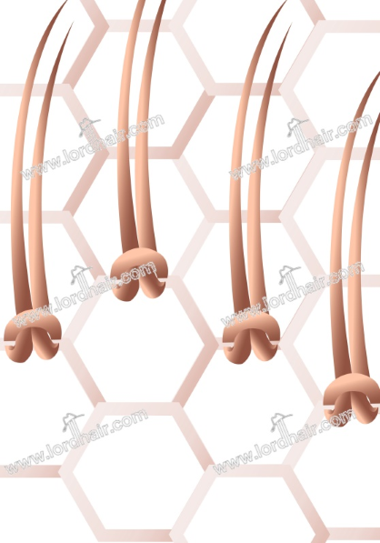 hair system knot hair system knot